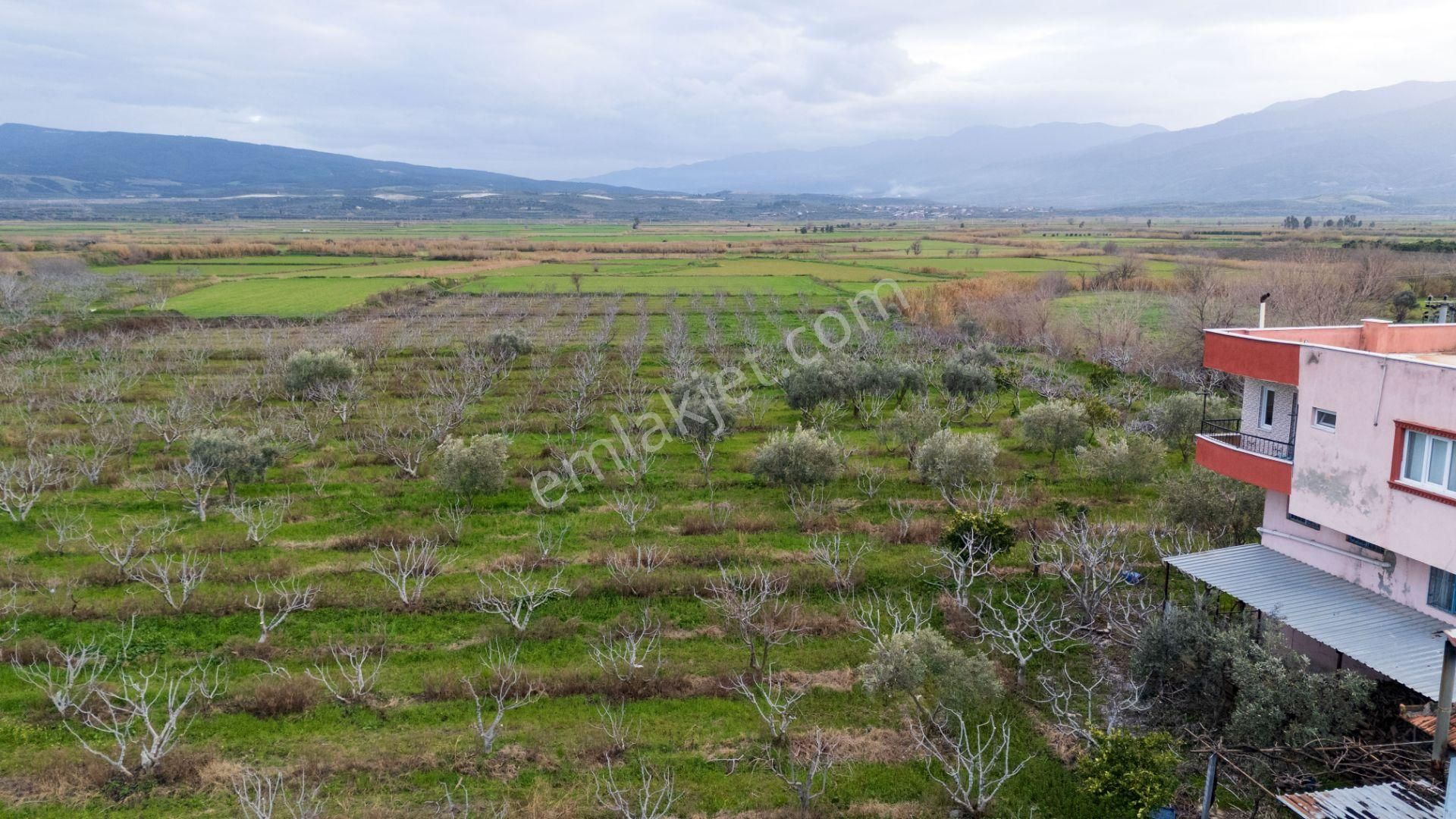 Horsunlu Mahallesi Devlet Kara Yolu Asfalt Üzerinde Satılık İncir Bahçesi Ve Ticaret Hane - Görsel 10