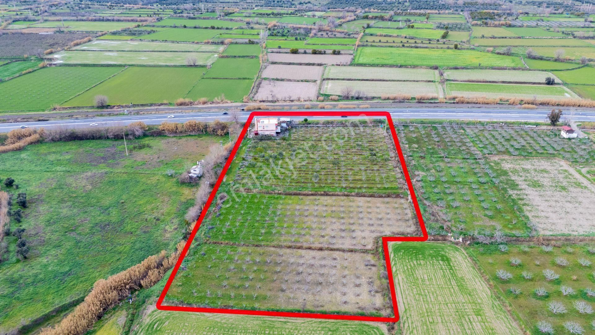 Horsunlu Mahallesi Devlet Kara Yolu Asfalt Üzerinde Satılık İncir Bahçesi Ve Ticaret Hane - Görsel 18