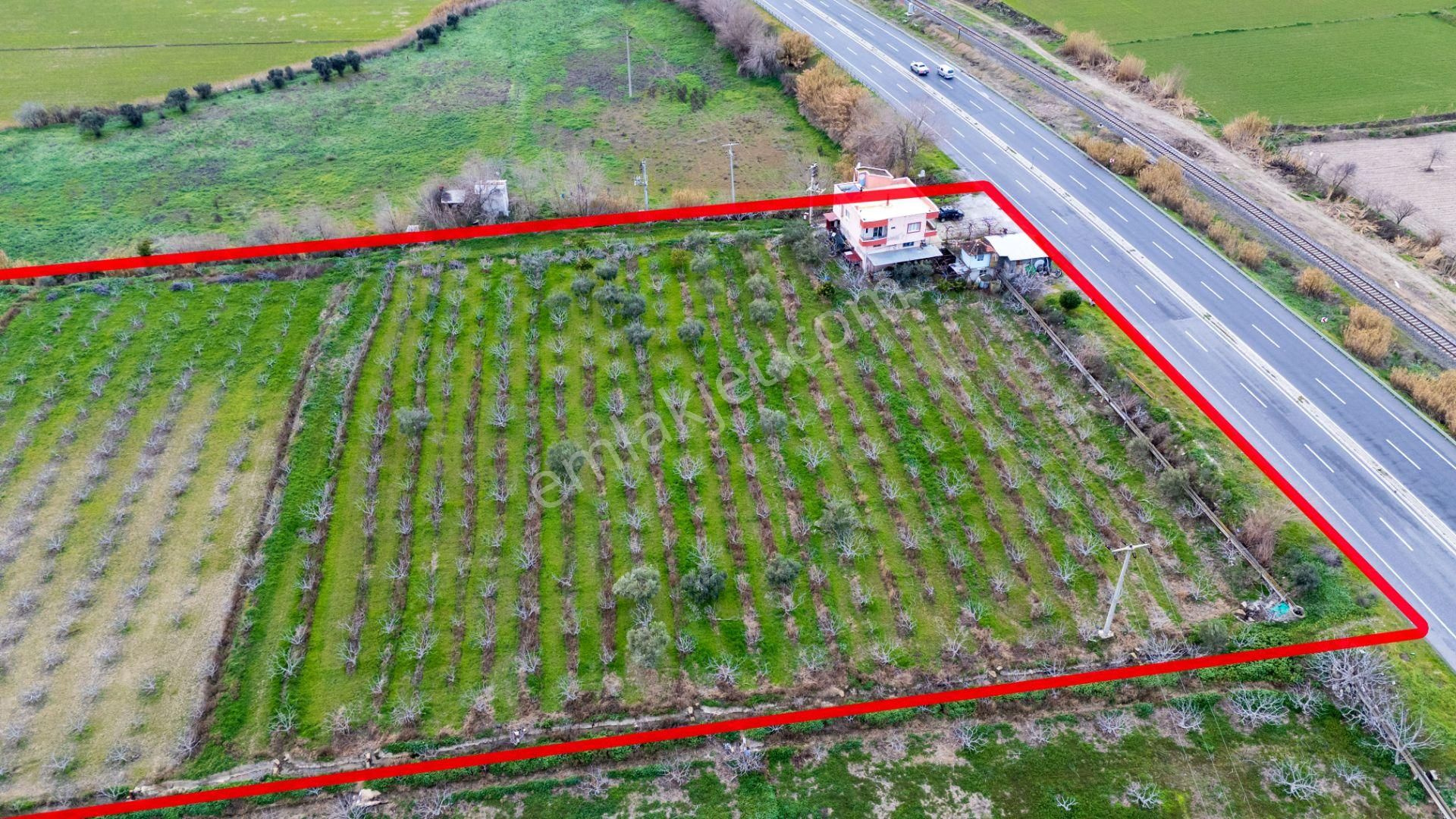 Horsunlu Mahallesi Devlet Kara Yolu Asfalt Üzerinde Satılık İncir Bahçesi Ve Ticaret Hane - Görsel 29