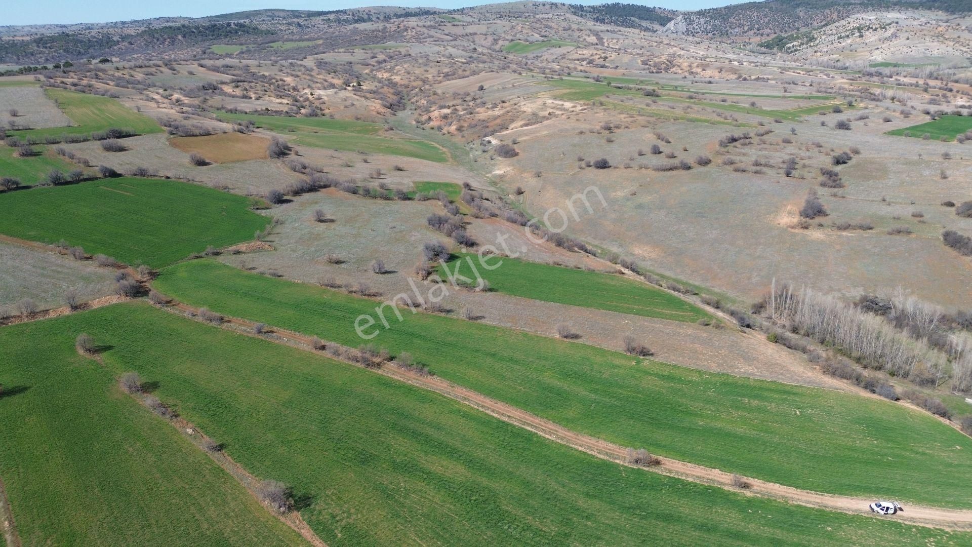 Konya / Ilgın / Belekler Mahallesinde 2.615 M² Müstakil Tapulu Tarla