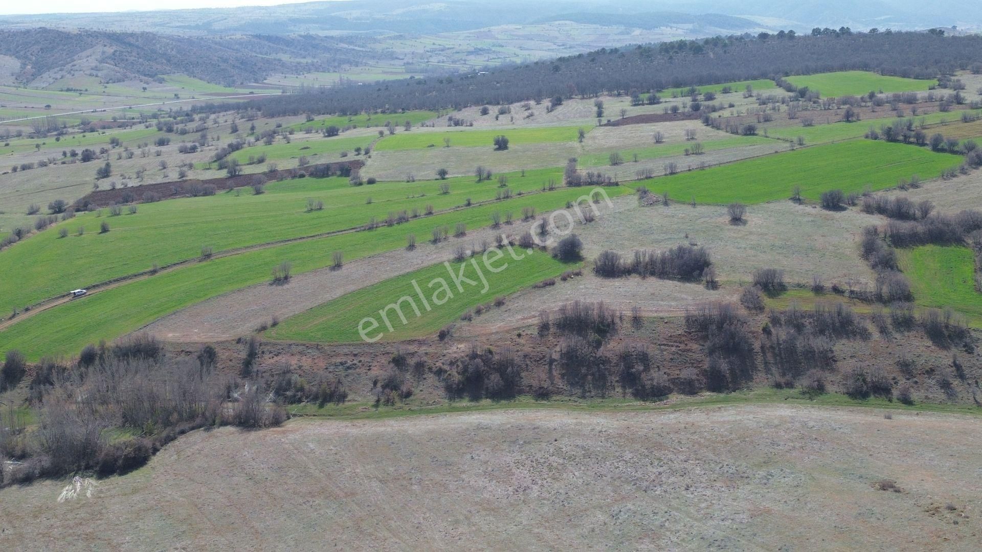 Konya / Ilgın / Belekler Mahallesinde 2.615 M² Müstakil Tapulu Tarla - Görsel 2