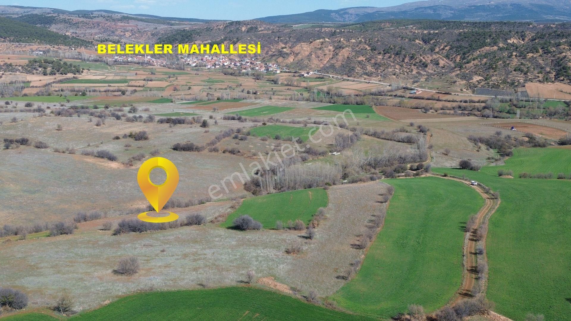 Konya / Ilgın / Belekler Mahallesinde 2.615 M² Müstakil Tapulu Tarla - Görsel 4