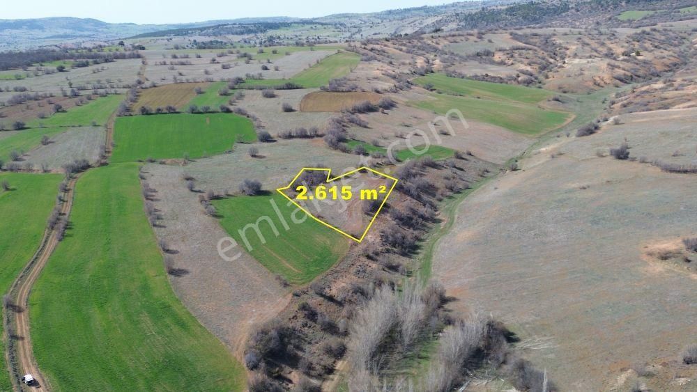 Konya / Ilgın / Belekler Mahallesinde 2.615 M² Müstakil Tapulu Tarla - Görsel 3