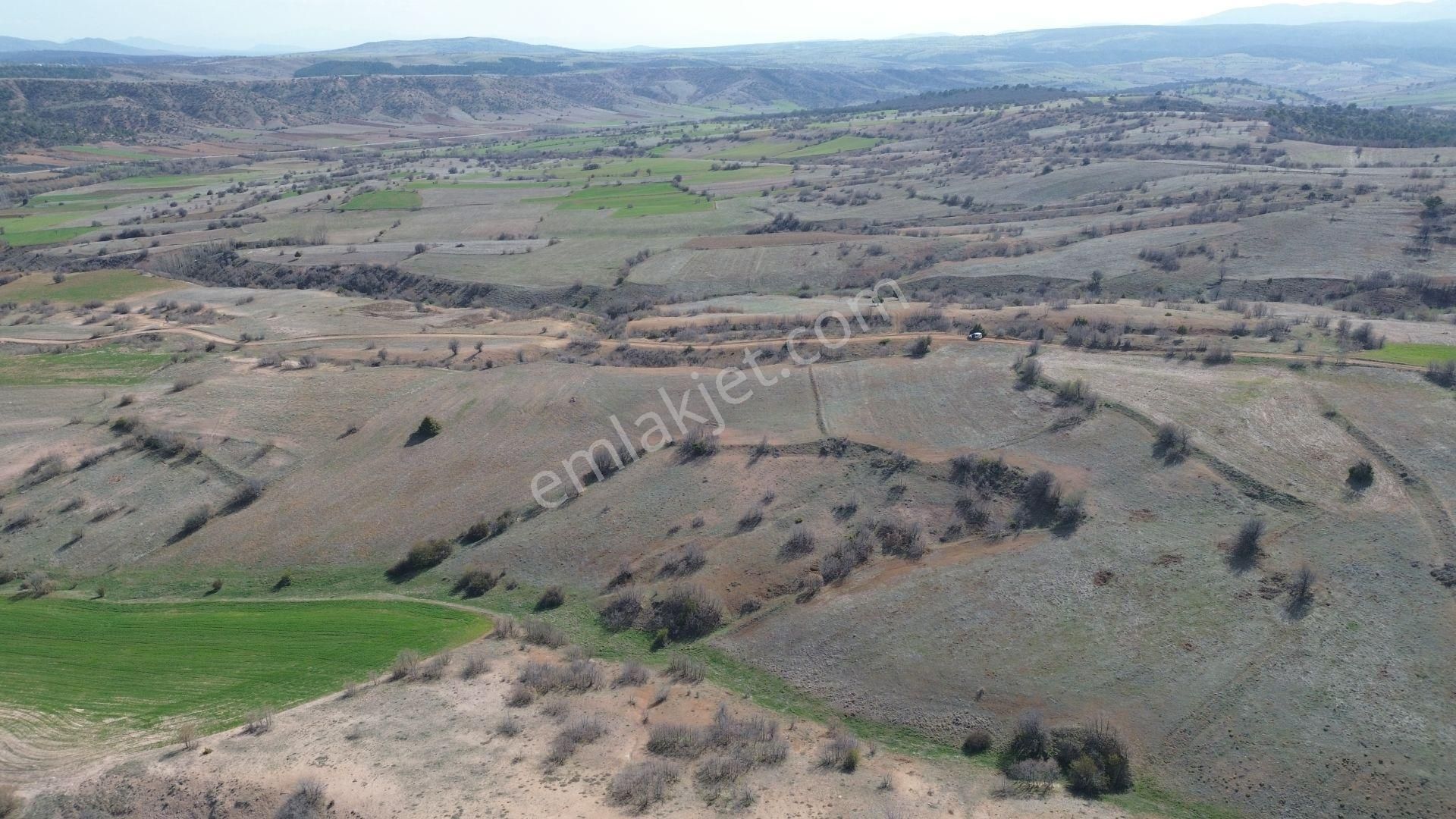 Konya / Ilgın / Belekler Mahallesinde 3.155 M² Müstakil Tapulu Tarla - Görsel 8