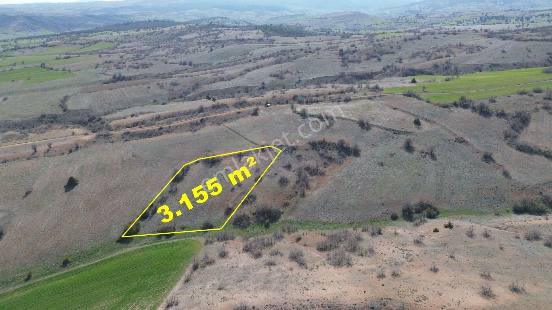 Konya / Ilgın / Belekler Mahallesinde 3.155 M² Müstakil Tapulu Tarla - Görsel 3