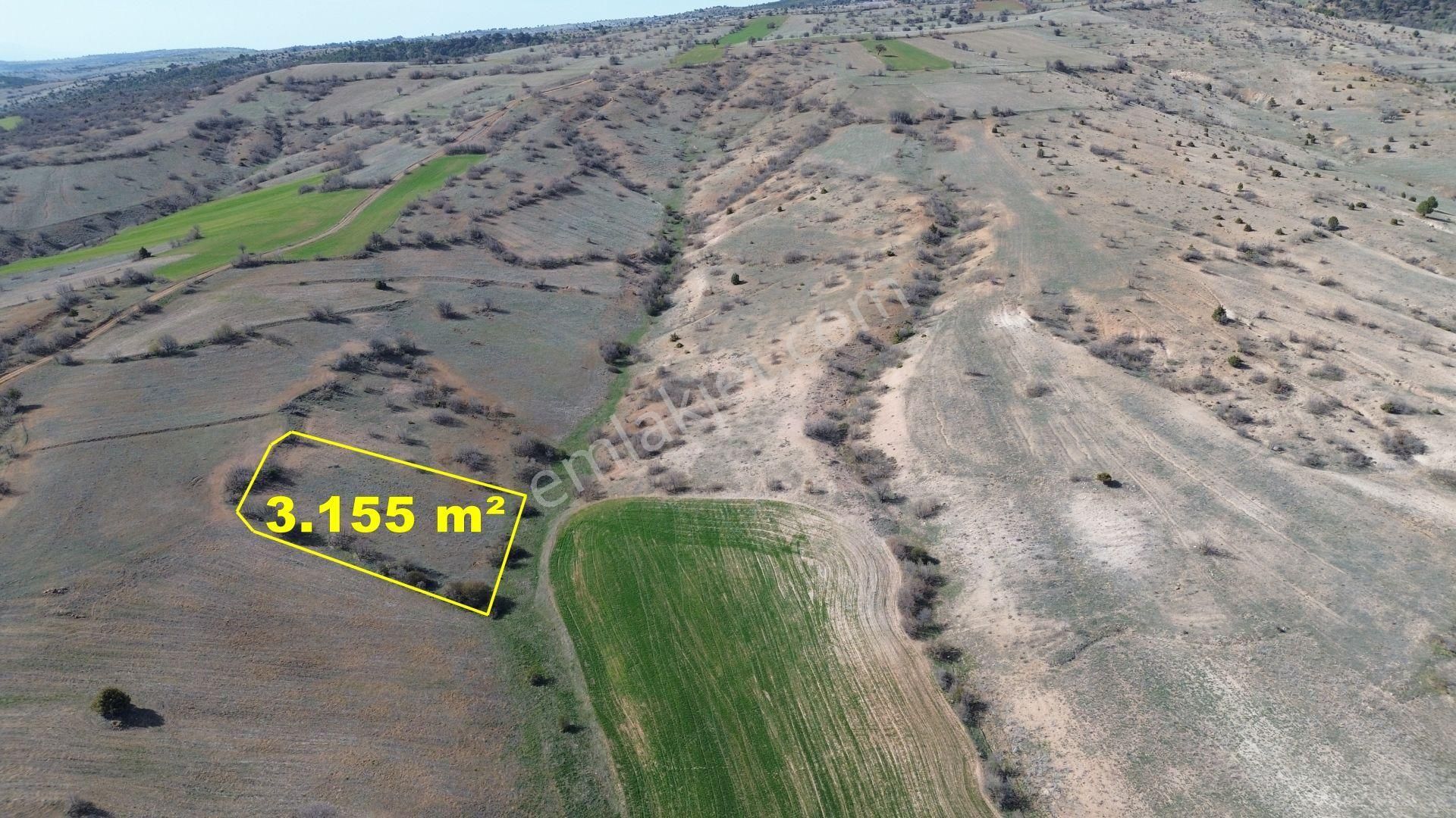 Konya / Ilgın / Belekler Mahallesinde 3.155 M² Müstakil Tapulu Tarla
