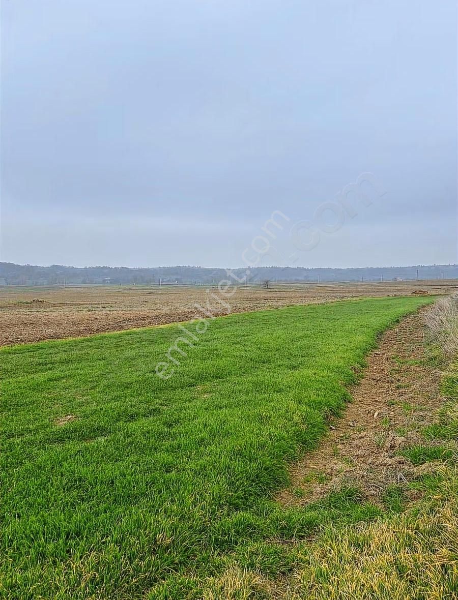 Malkara Kozyörük Te İmara 250 Mt 1.020 Mt Tarla Remi Yolu Var - Görsel 8