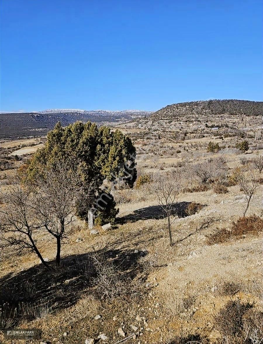 Emlakpark'tan Yerlesıme Cok Yakın 2 Dönüm Bağ - Görsel 7