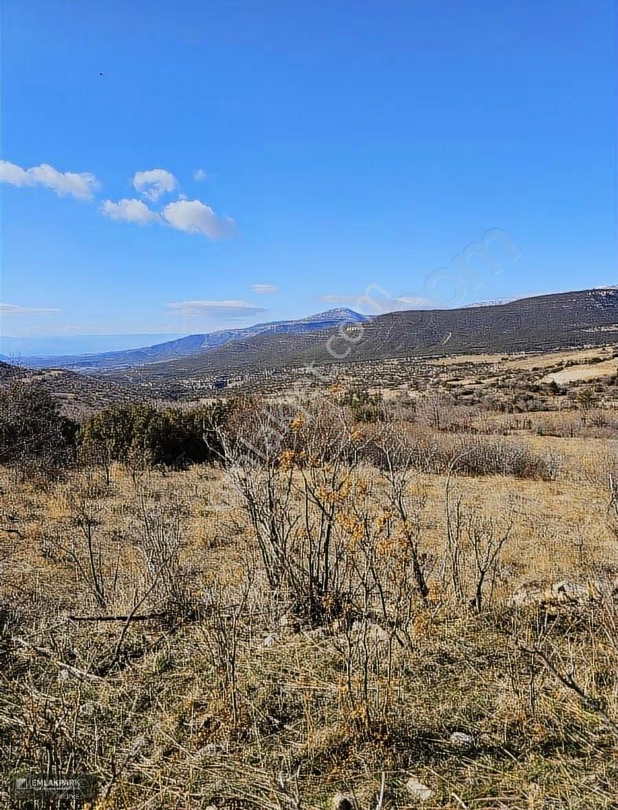 Emlakpark'tan Yerlesıme Cok Yakın 2 Dönüm Bağ - Görsel 6