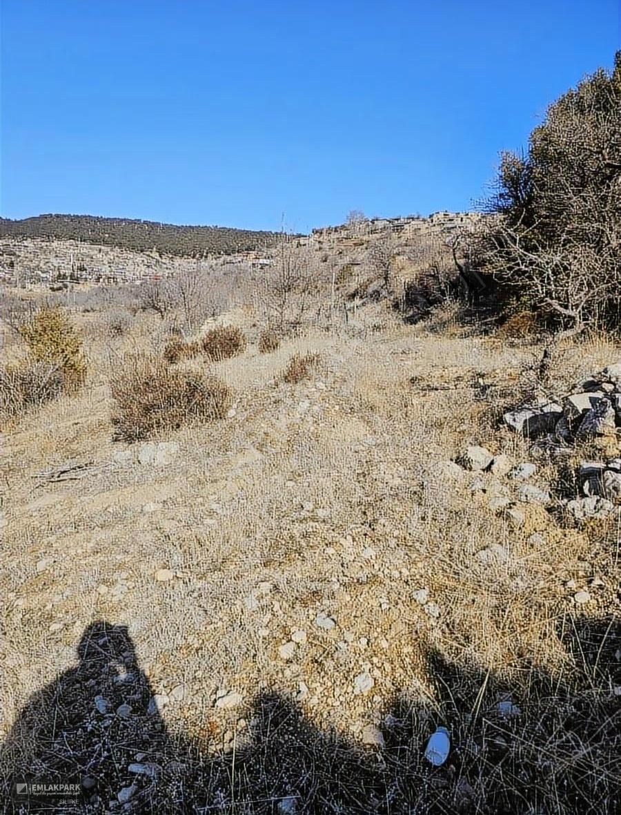 Emlakpark'tan Yerlesıme Cok Yakın 2 Dönüm Bağ - Görsel 8