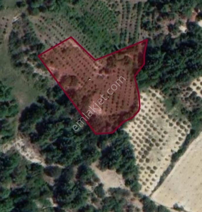 Babadağ Da Yerleşim Yerine Yakın Bahçe