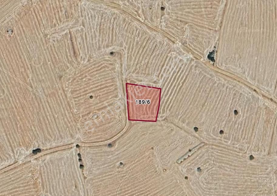 Karaman Merkez Başkışla Köyünde 1.688 M² Tarla Satılıktır