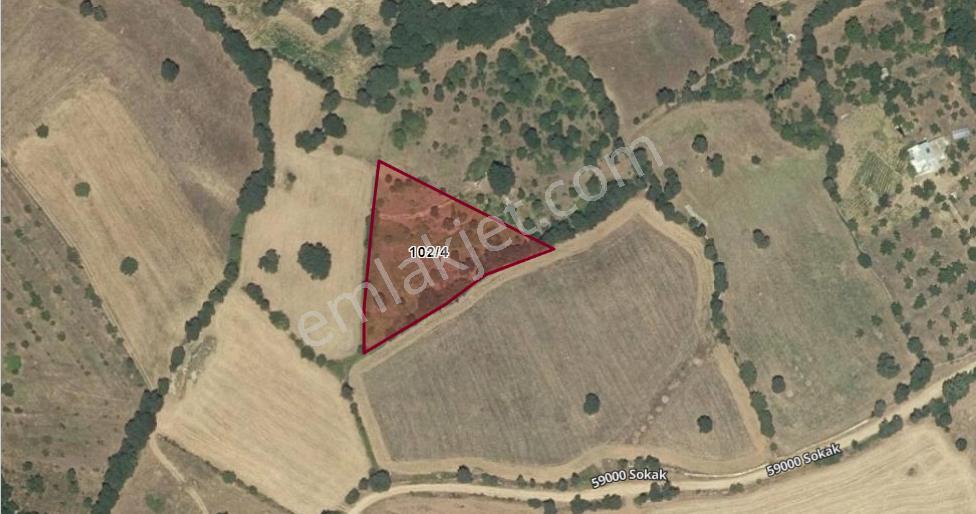 Balıkesir Kepsut Serçeörende Satılık 3546 M2 Tarla