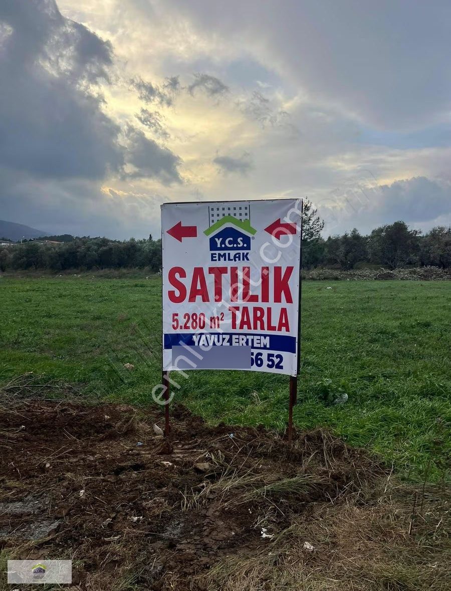 Ycs'den Satılık 5.280 M2 Yatırımlık Tarla - Görsel 5