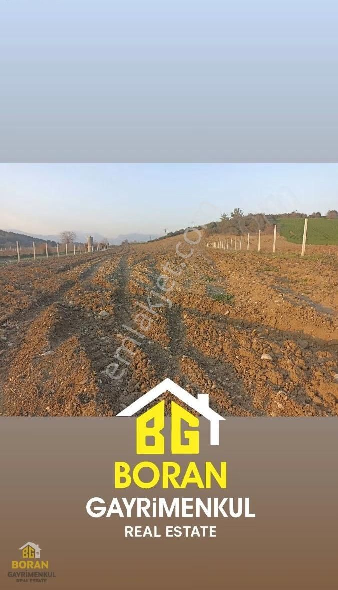 Boran Gayrimenkul'den Karaisalı Kuyu Köyünde Satılık Arsa - Görsel 9