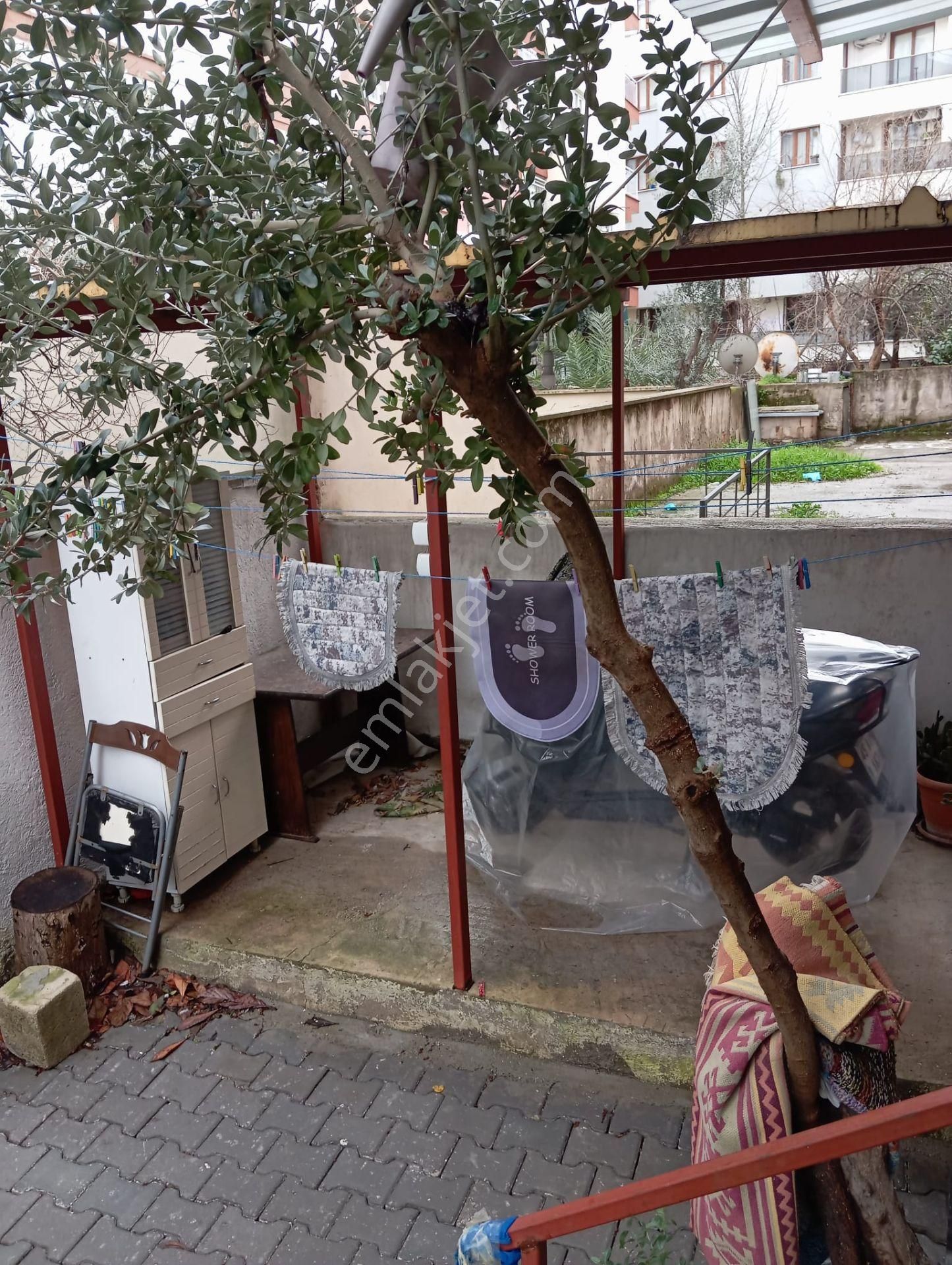 🏡yeni Mahalle Mahallesi🏡 ✅2+1 80 M2 5 Katlının Zemin Katı ❇️ Özelikli Petek Kombili - Görsel 3