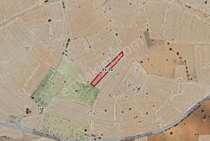 Karaman Merkez Başkışla Köyünde 1.904 M² Tarla Satılıktır