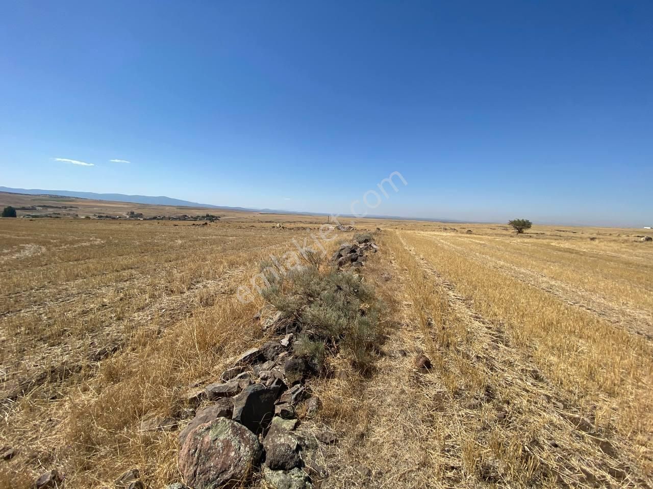 Anka'dan Aşağıcağlan Toki Bölgesinde Satılık 5100 M2 Tarla - Görsel 5