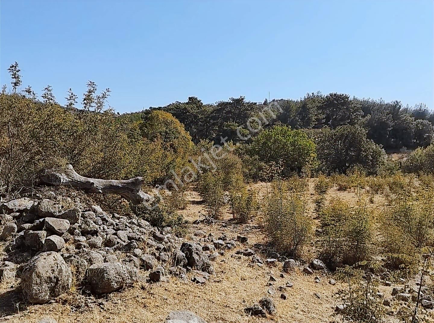 Bergama Tırmanlar Köyünde Satılık Tek Tapu Tarla - Görsel 2