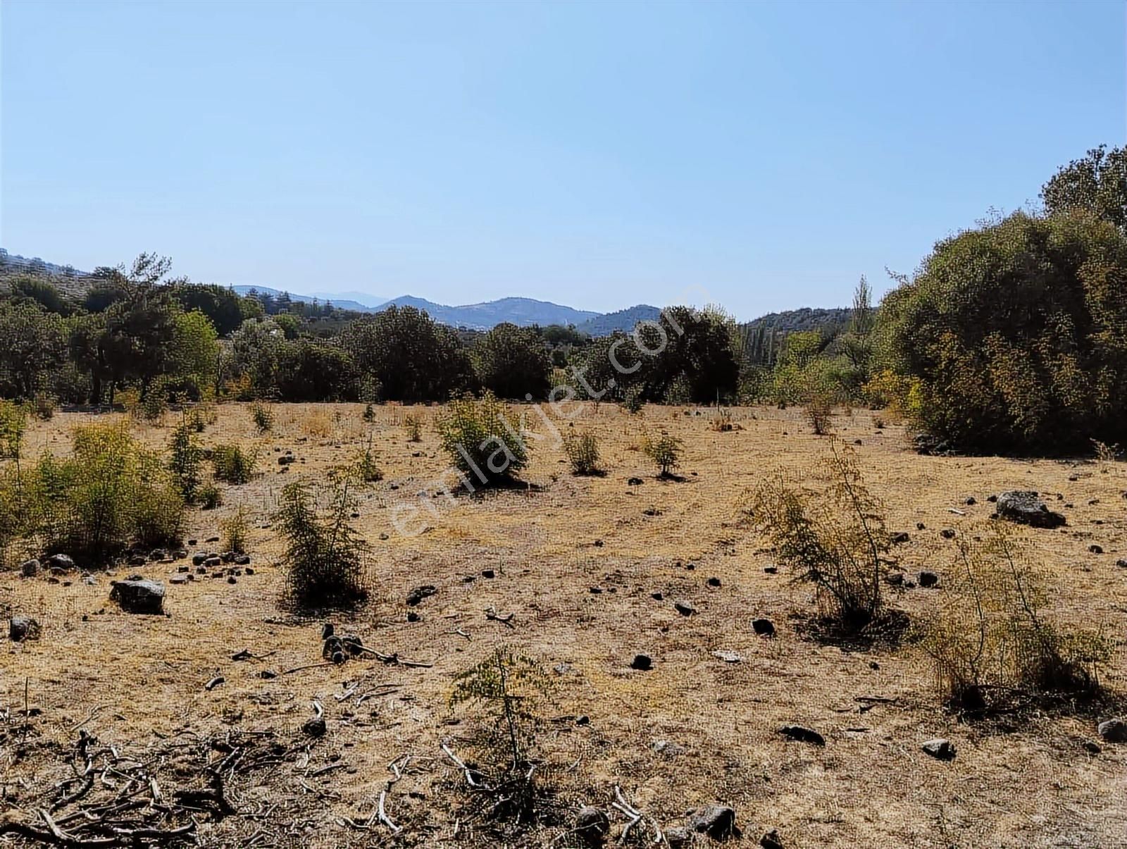 Bergama Tırmanlar Köyünde Satılık Tek Tapu Tarla - Görsel 10