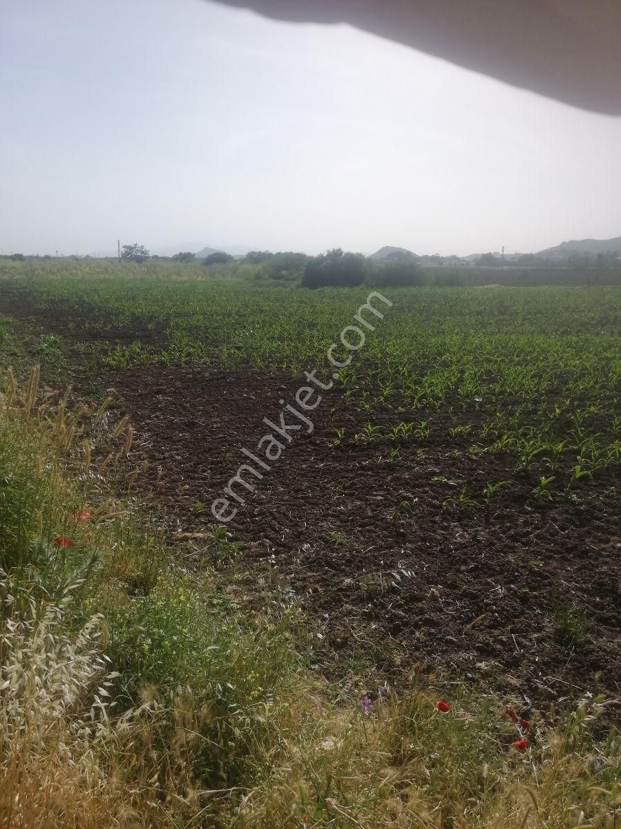 Bergama Ertuğrul Mah. Satılık Tarla - Görsel 8