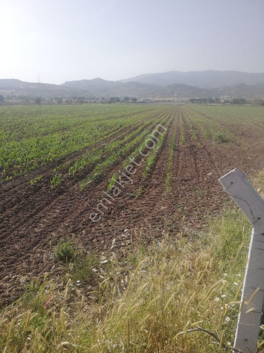 Bergama Ertuğrul Mah. Satılık Tarla - Görsel 11