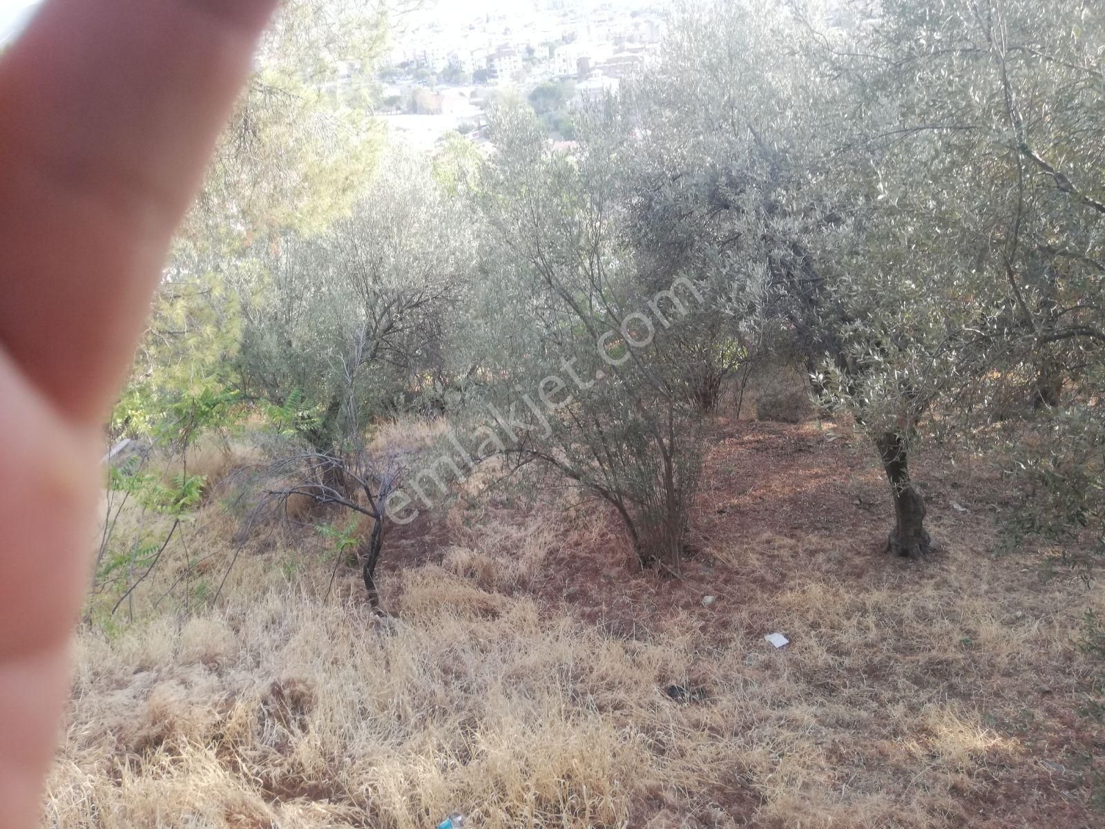 Talat Paşa Mah. Eşsiz Şehir Manzaralı Bahçeli Müstakil Ev - Görsel 18