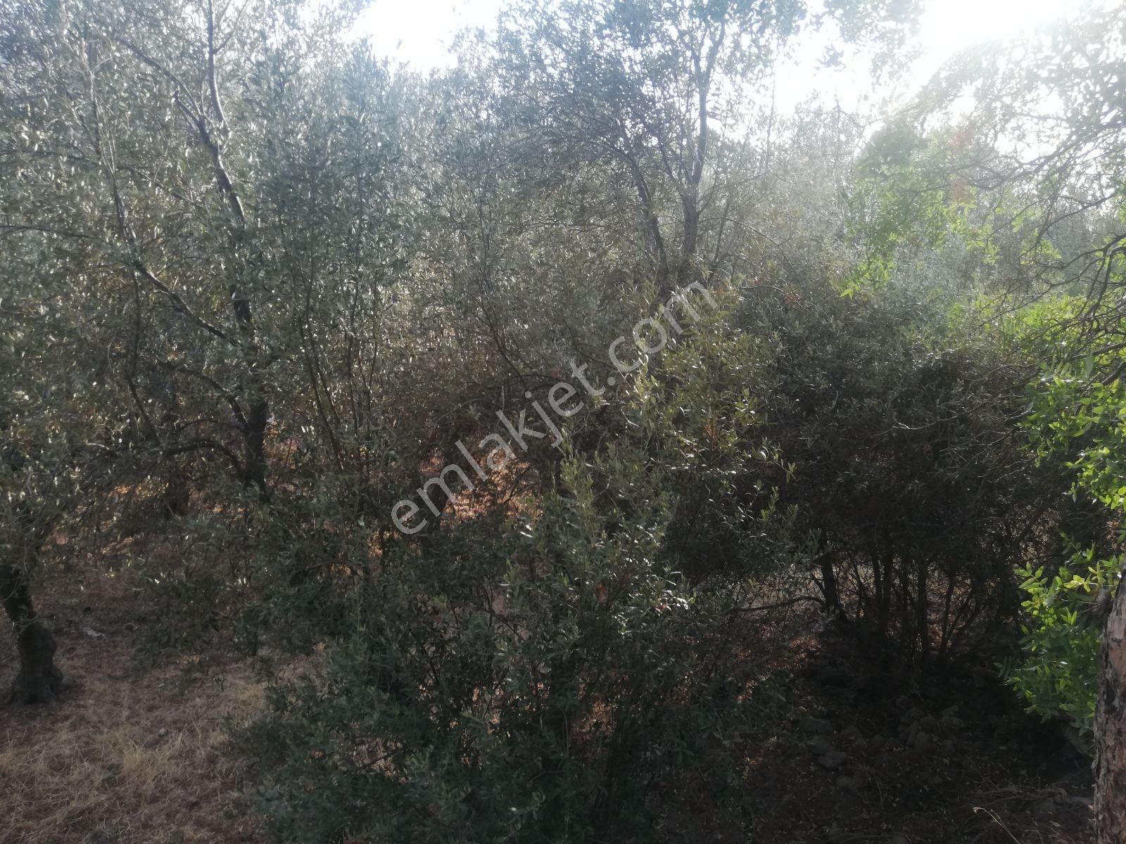 Talat Paşa Mah. Eşsiz Şehir Manzaralı Bahçeli Müstakil Ev - Görsel 20