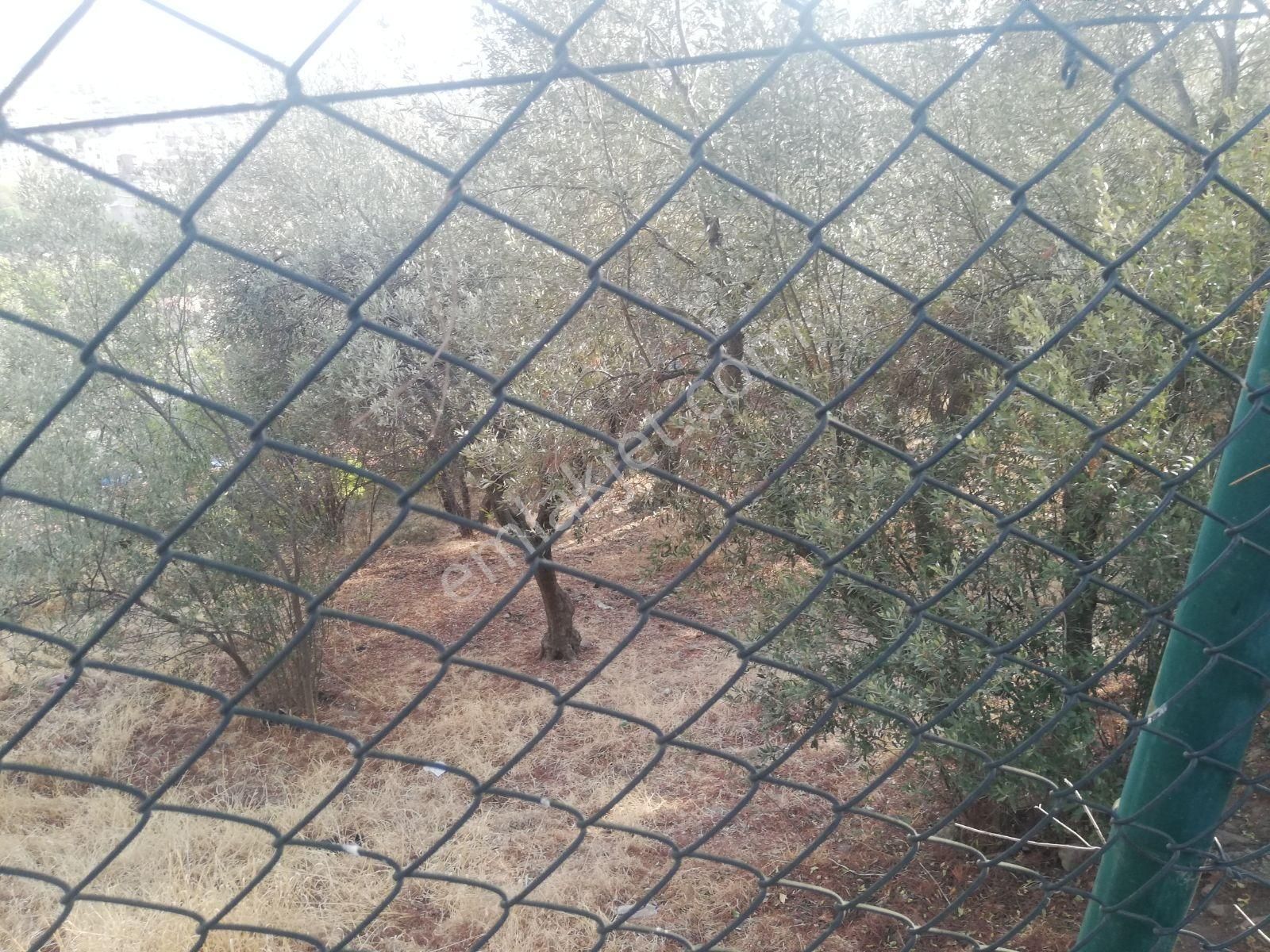 Talat Paşa Mah. Eşsiz Şehir Manzaralı Bahçeli Müstakil Ev - Görsel 19