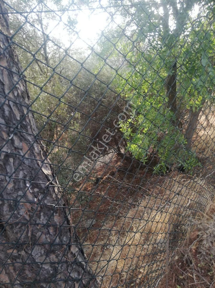 Talat Paşa Mah. Eşsiz Şehir Manzaralı Bahçeli Müstakil Ev - Görsel 26