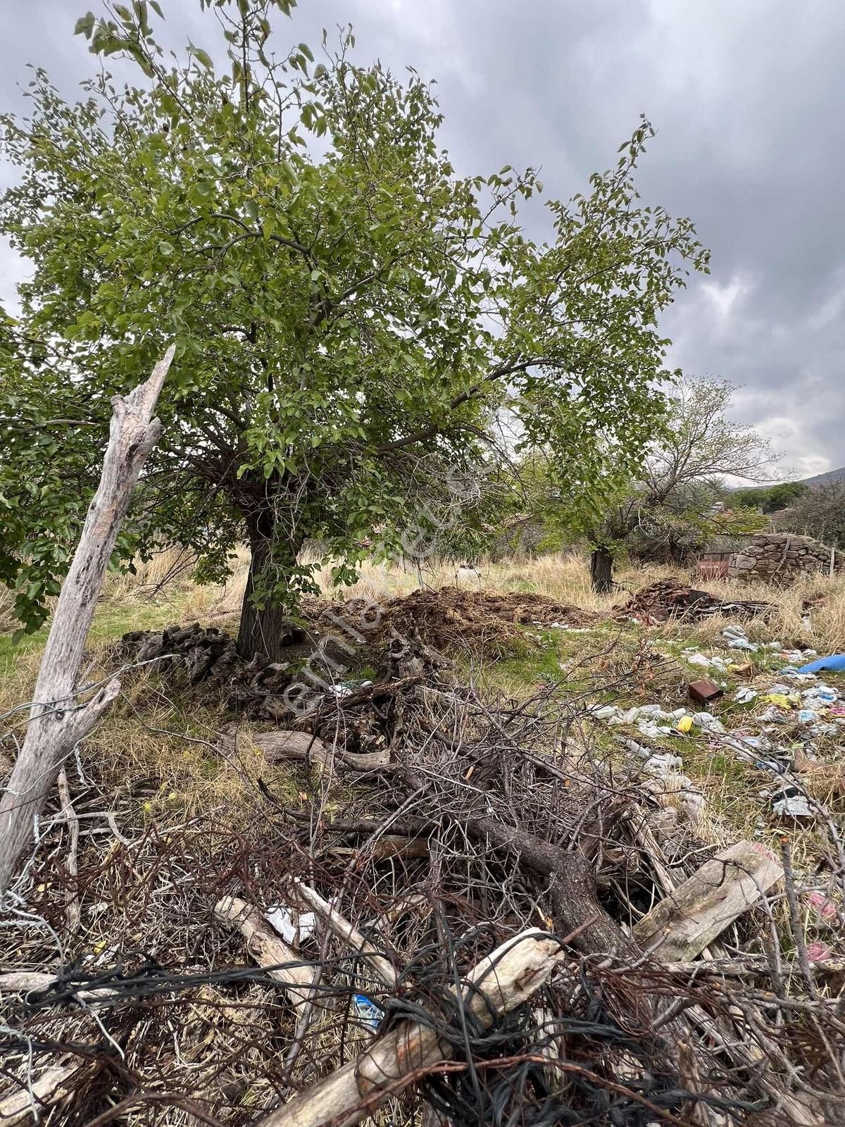 Bergama Hamzalı Süleymaniyede Satılık Ev Arsası - Görsel 9