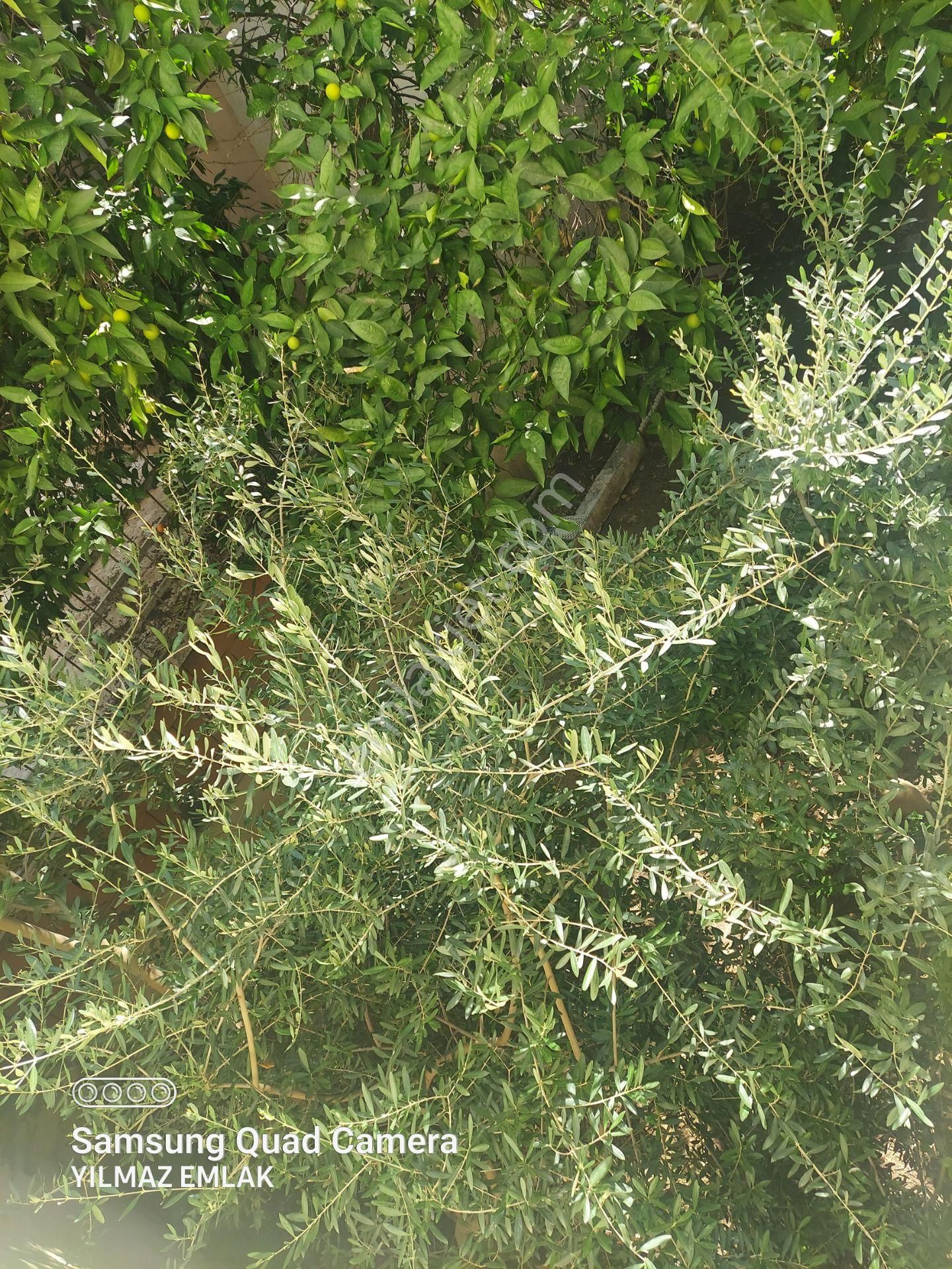 Turan Mahallesinde Satılık 3+1 Zemin Üstü Daire İşyeri İçin Uygun - Görsel 34