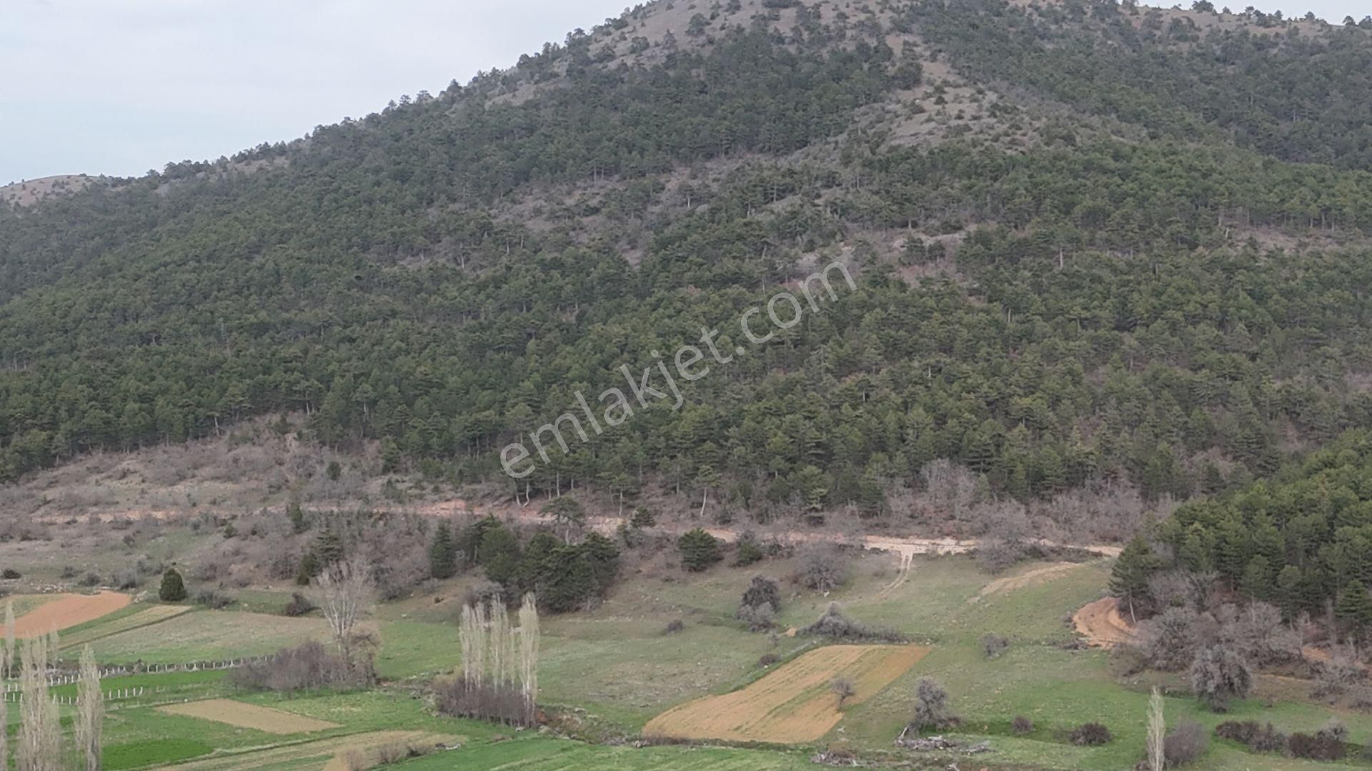 Konya / Ilgın / Gökbudak Mahallesinde 1.610 M² Müstakil Tapulu Tarla - Görsel 8
