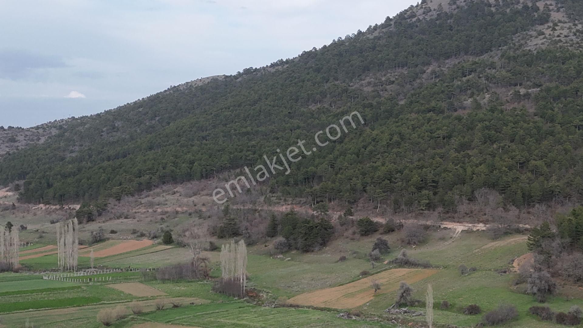 Konya / Ilgın / Gökbudak Mahallesinde 1.610 M² Müstakil Tapulu Tarla - Görsel 2