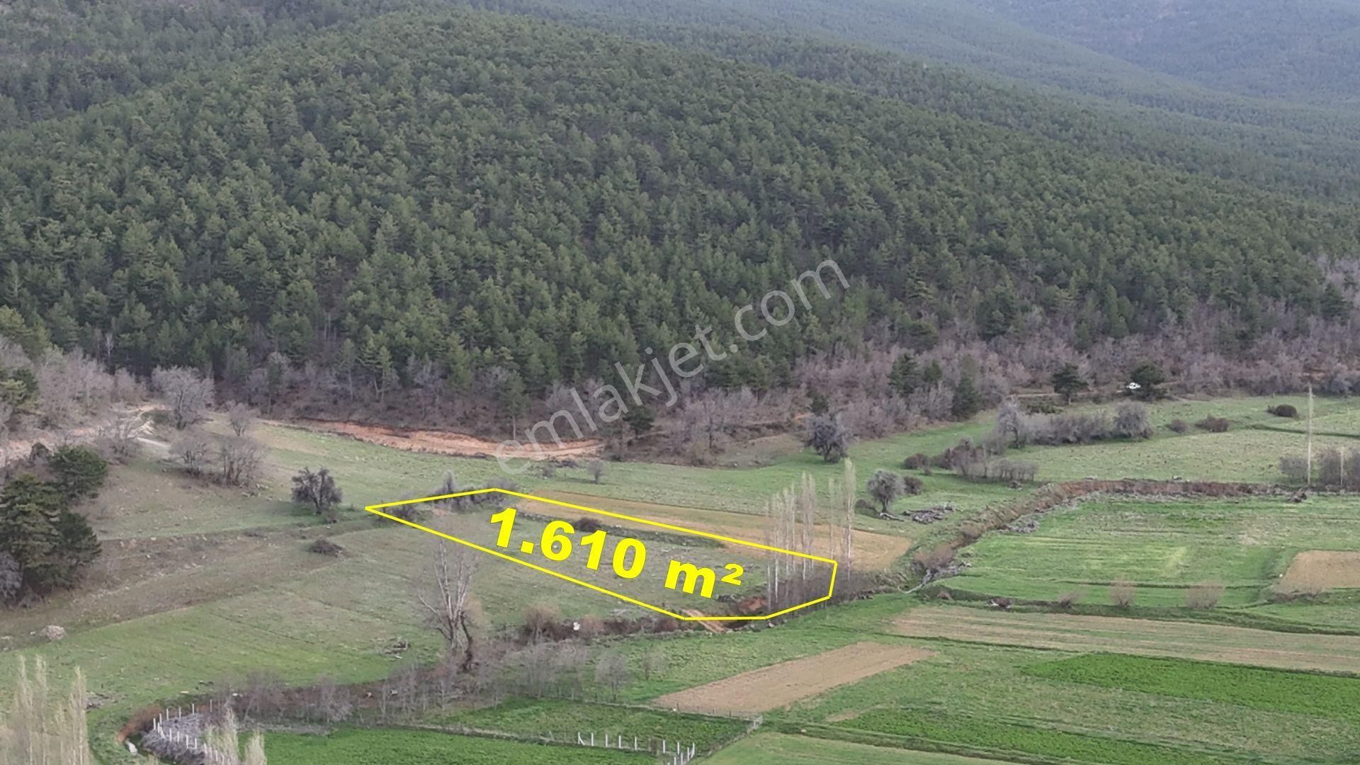 Konya / Ilgın / Gökbudak Mahallesinde 1.610 M² Müstakil Tapulu Tarla - Görsel 3