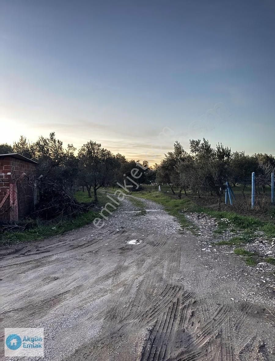 Seyitahmet Mh. Fatih Okulu İle Kanal Arasında 384 M2 İmarlı Arsa - Görsel 2