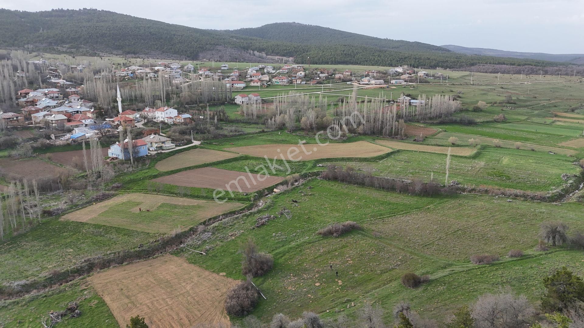 Konya / Ilgın / Gökbudak Mahallesinde 2.523 M² Müstakil Tapulu Tarla - Görsel 4