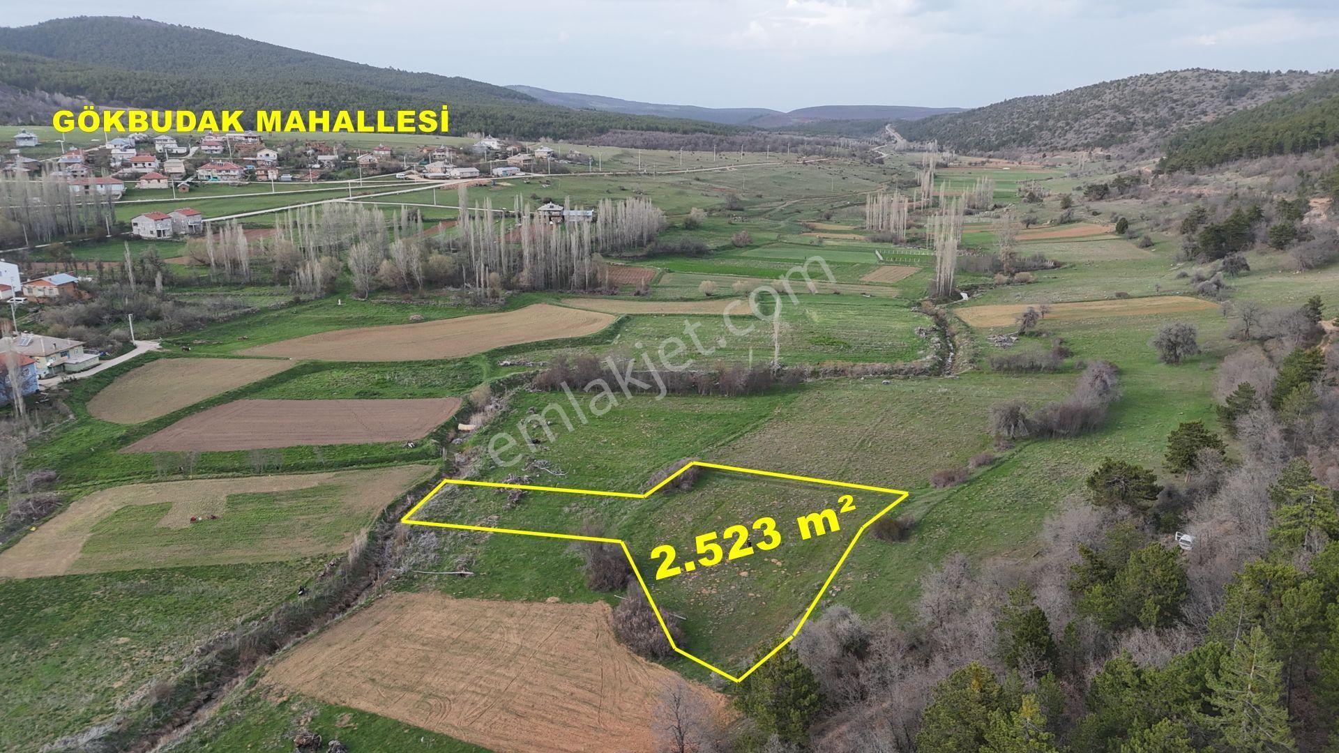 Konya / Ilgın / Gökbudak Mahallesinde 2.523 M² Müstakil Tapulu Tarla - Görsel 6