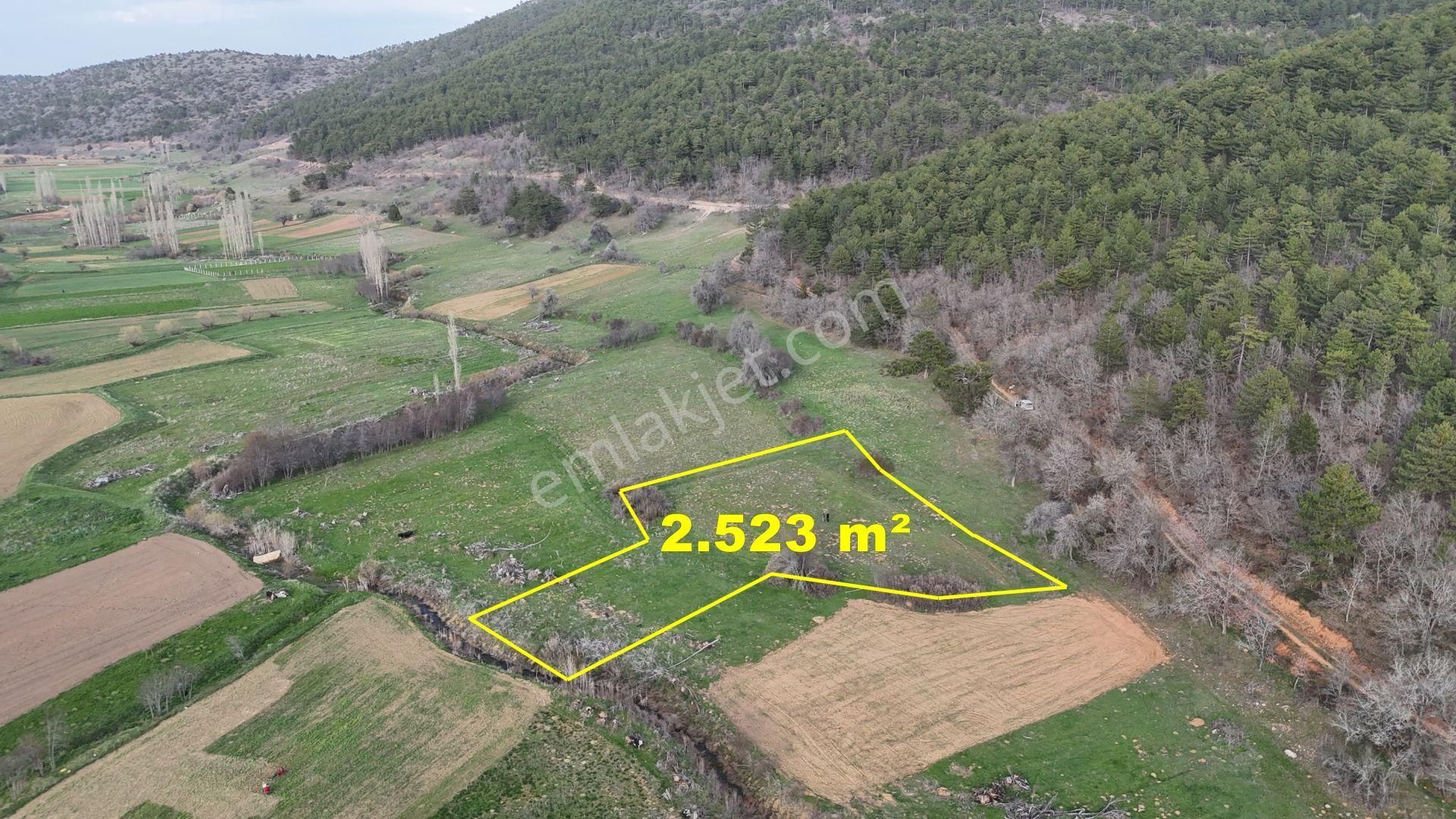 Konya / Ilgın / Gökbudak Mahallesinde 2.523 M² Müstakil Tapulu Tarla - Görsel 3