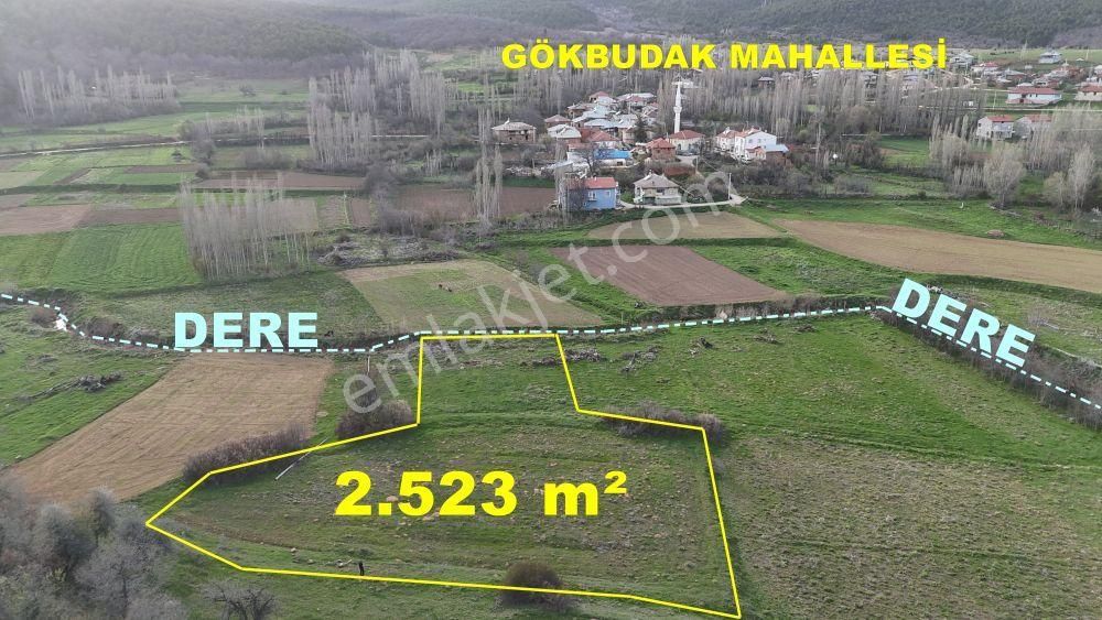 Konya / Ilgın / Gökbudak Mahallesinde 2.523 M² Müstakil Tapulu Tarla
