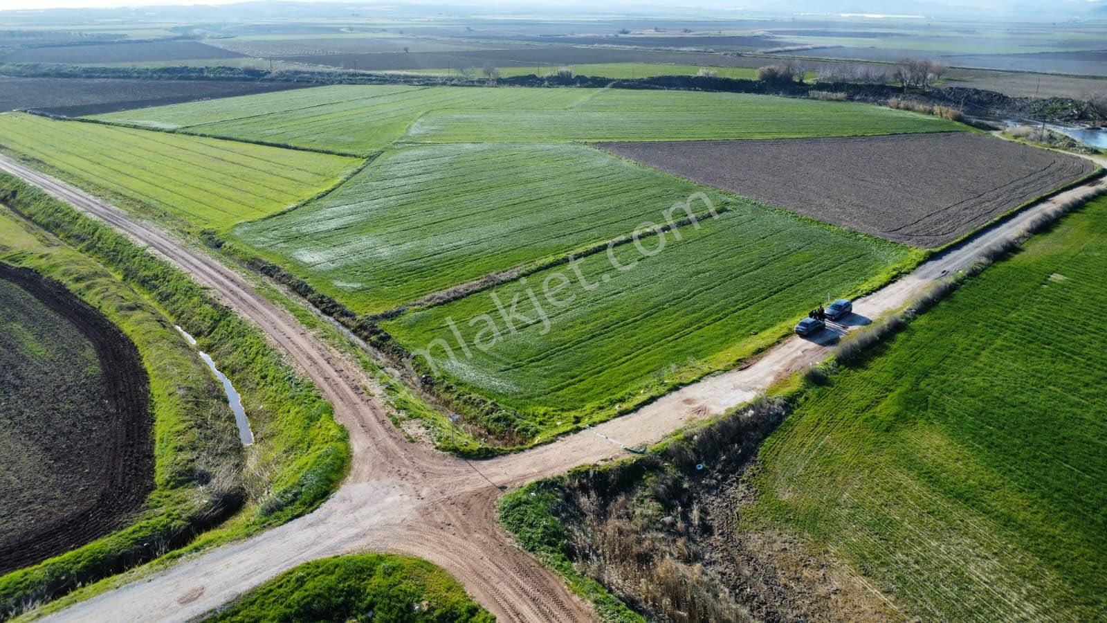 İzmir Bergama Zeytindağ Mah Satılık Tarla - Görsel 13