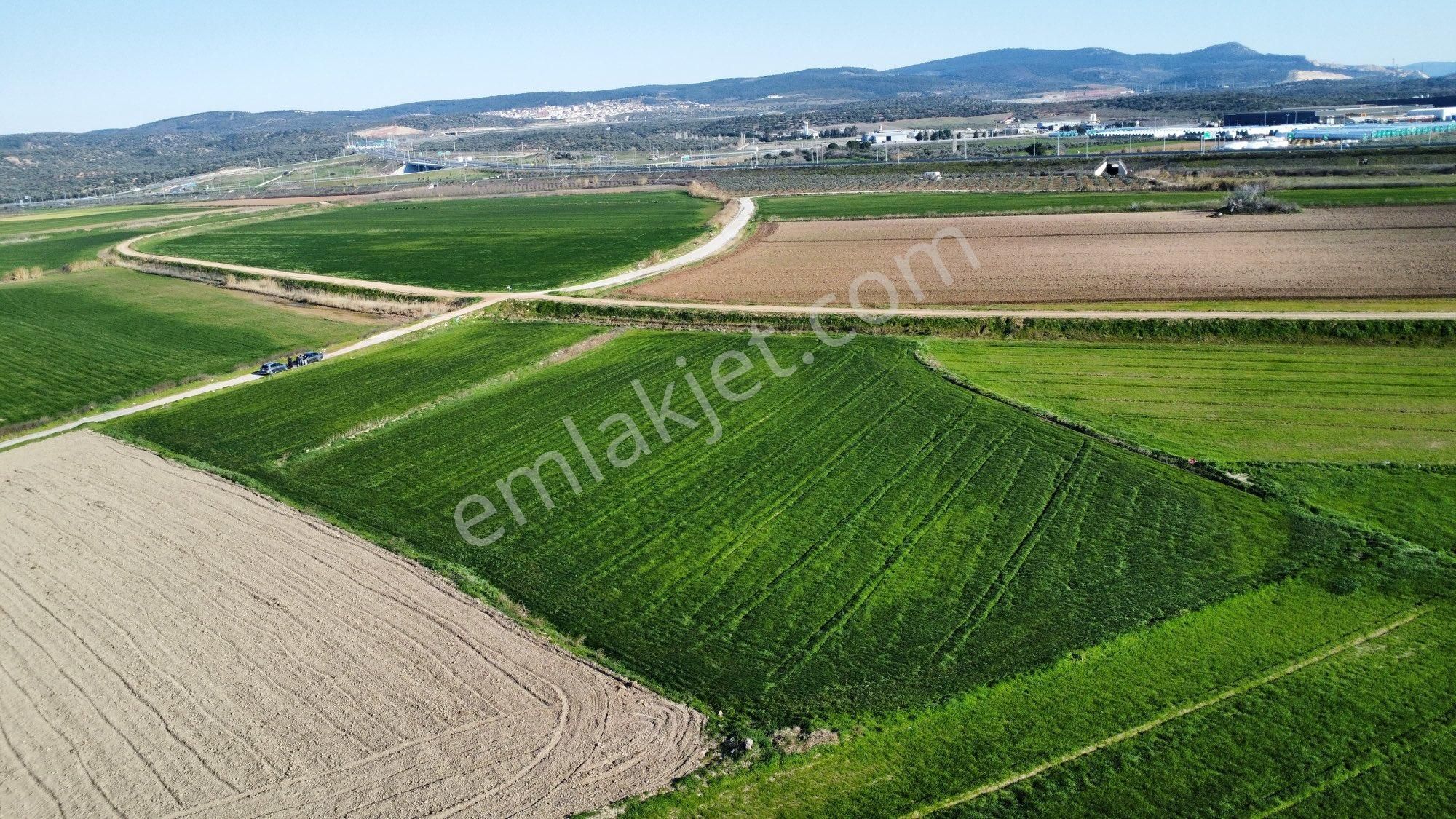 İzmir Bergama Zeytindağ Mah Satılık Tarla - Görsel 4