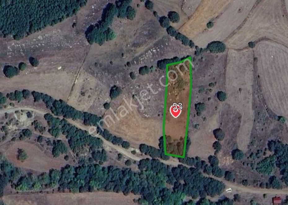 Çanakkale Lapseki Beyçayır Köyü Satılık 2967 M2 Satılık Arazi - Görsel 3