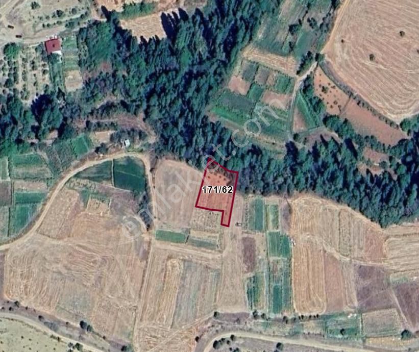 Karaman Merkez Bozkandak Köyünde 845 M² Tarla Satılıktır