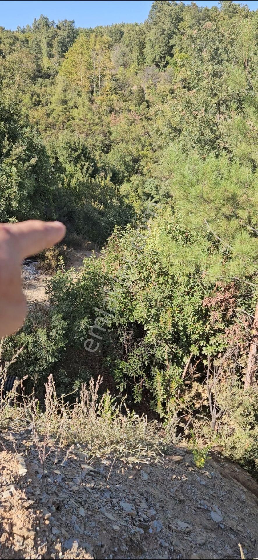 Alanya Mahmutseydi Köyünde Satılık 1.292 Metre Bahçe - Görsel 6