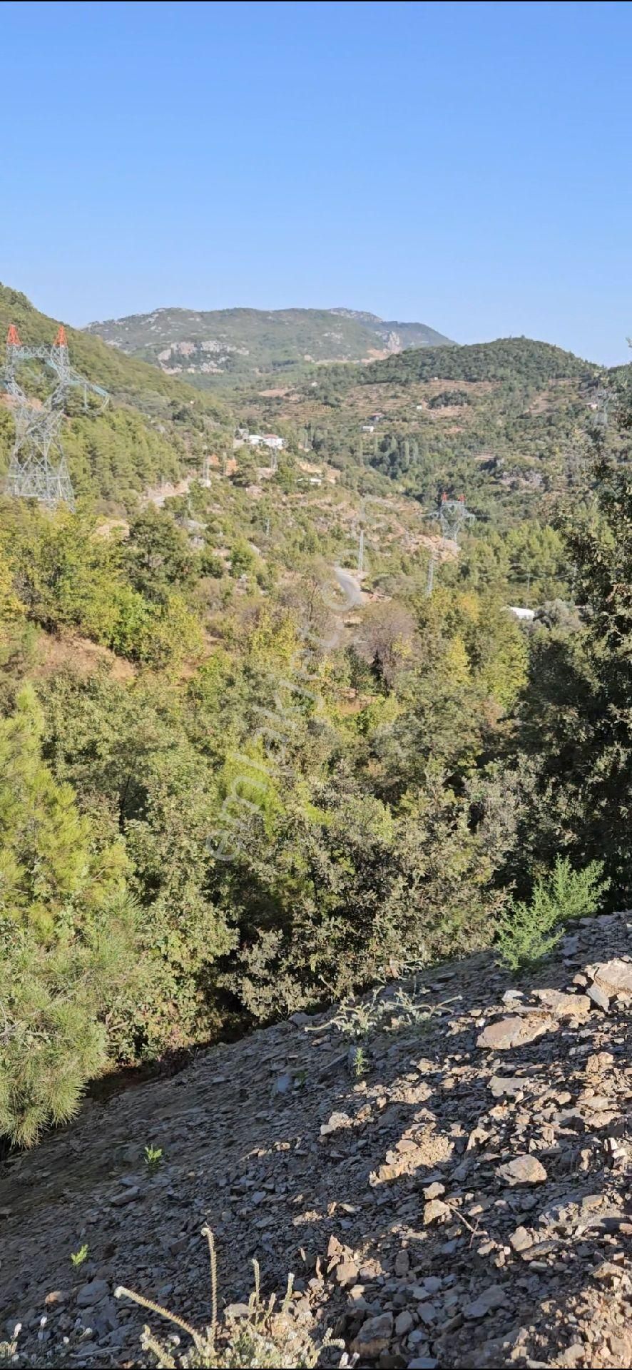 Alanya Mahmutseydi Köyünde Satılık 1.292 Metre Bahçe - Görsel 7