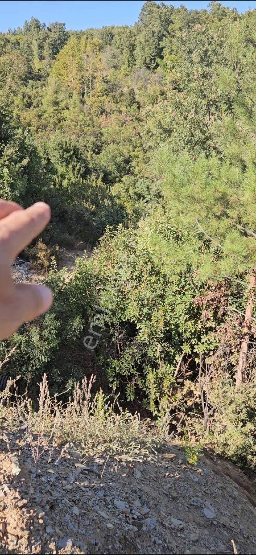 Alanya Mahmutseydi Köyünde Satılık 1.292 Metre Bahçe - Görsel 20