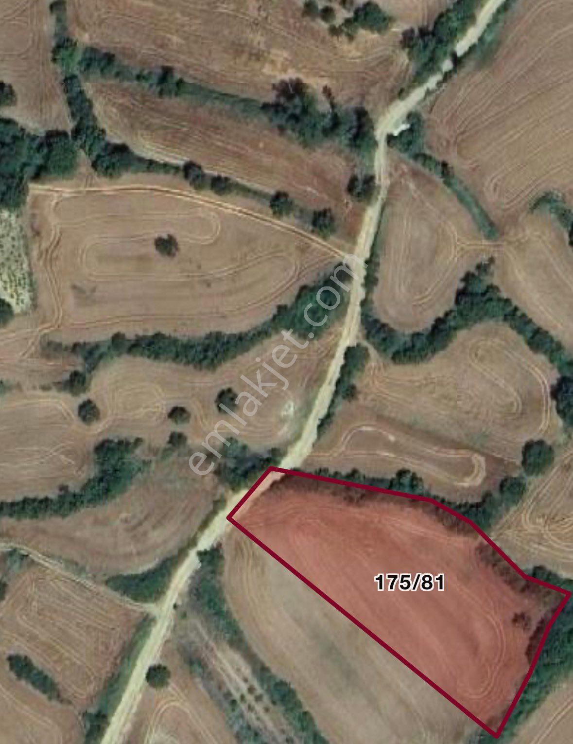 Sahibinden - Görsel 2