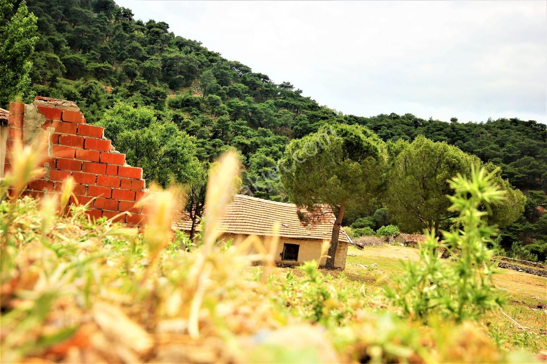 ✔aktiften Sübeylidere 'de 245m2 Satılık Arsa 🟥 - Görsel 25