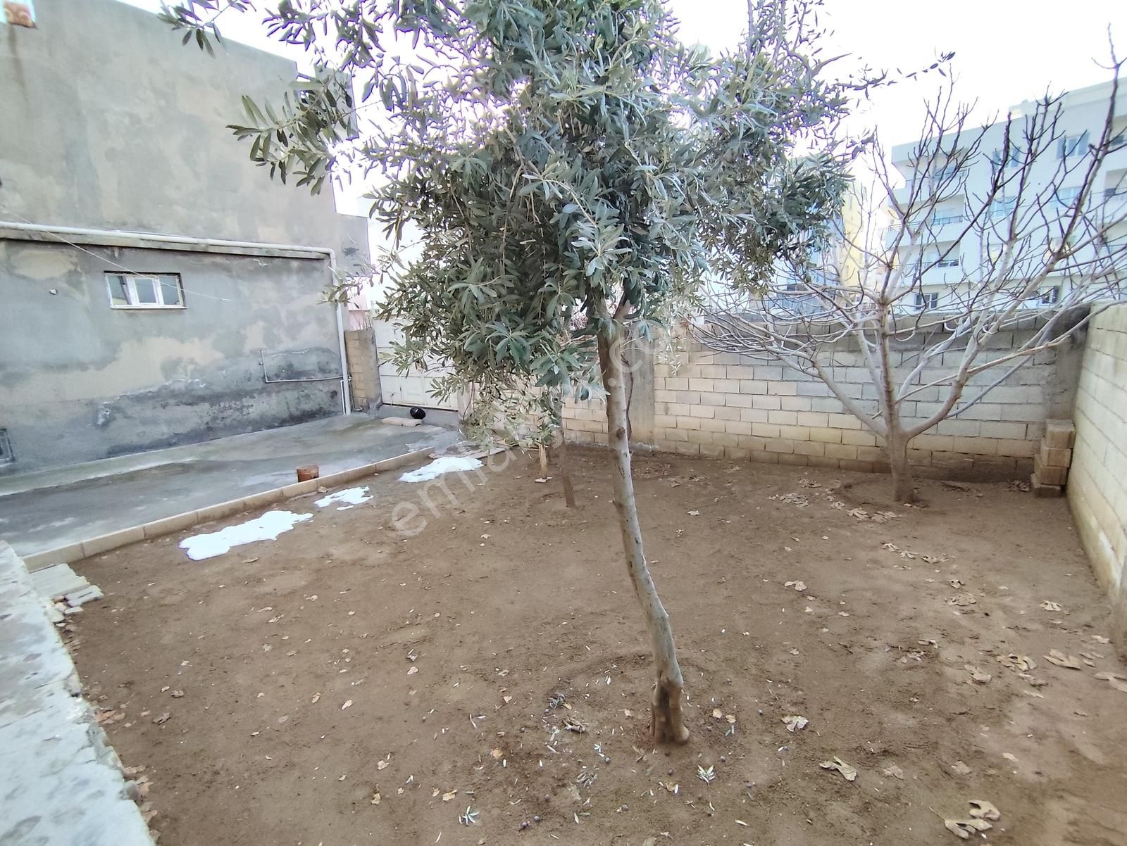 Acar Emlaktan Dicle Mah 270m2 Arsa İçinde 2katlı 2+1 Müstakil Ev - Görsel 13